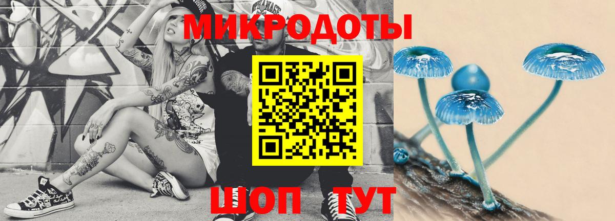 Дедовск  Псилоцибиновые грибы мицелий  как найти наркотики  Псилоцибиновые грибы мухоморы  Вход с VPN 